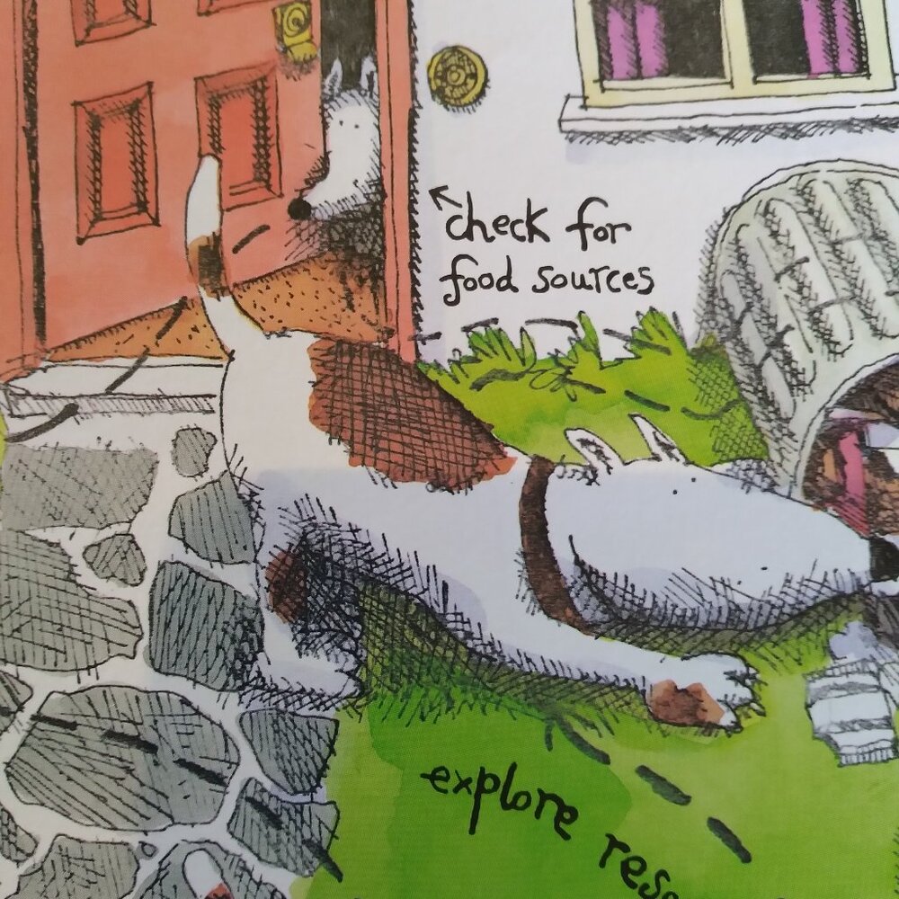 How Dogs Really Work Book - Picture 11 of 11